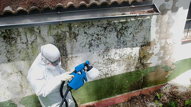 Top rated local Mold Inspection And Testing specialists in Goodyear, AZ